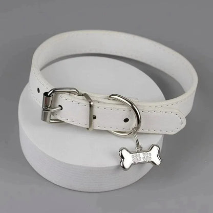 Colorful Leather Dog Claw Bone Punk Trendy Necklace for Women Exquisite PU Charms Choker Sweet Cool Party Jewelry Y2K Gifts