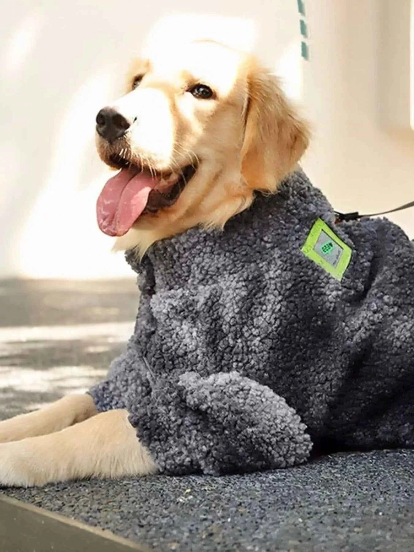 Black heavy-duty dog coat by All Sorts Co. offers premium protection and warmth for large furry pets.