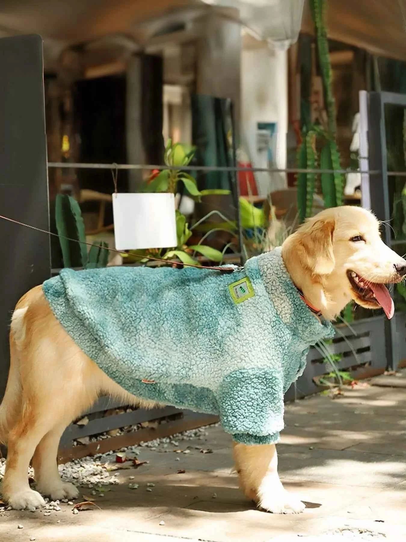 Black heavy-duty pet coat for dogs by All Sorts Co., providing premium protection and warmth for furry friends.
