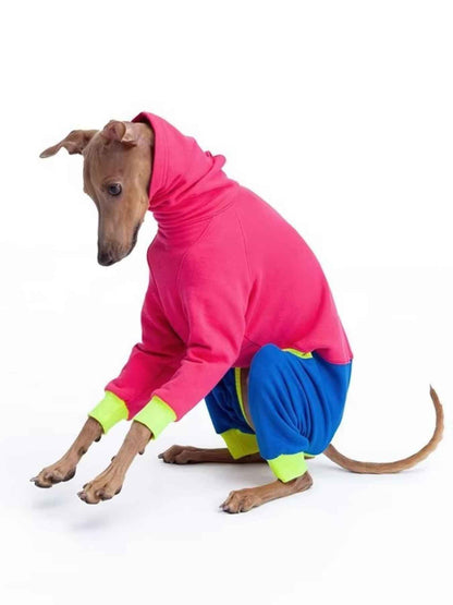 All Sorts Co. outdoor pink dog jacket for large dogs, high-quality waterproof dog clothing, cozy and durable outdoor wear
