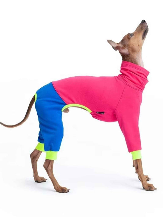 Bright pink outdoor dog jacket for large dogs, high-quality All Sorts Co. dog clothing designed for outdoor protection and comfort.
