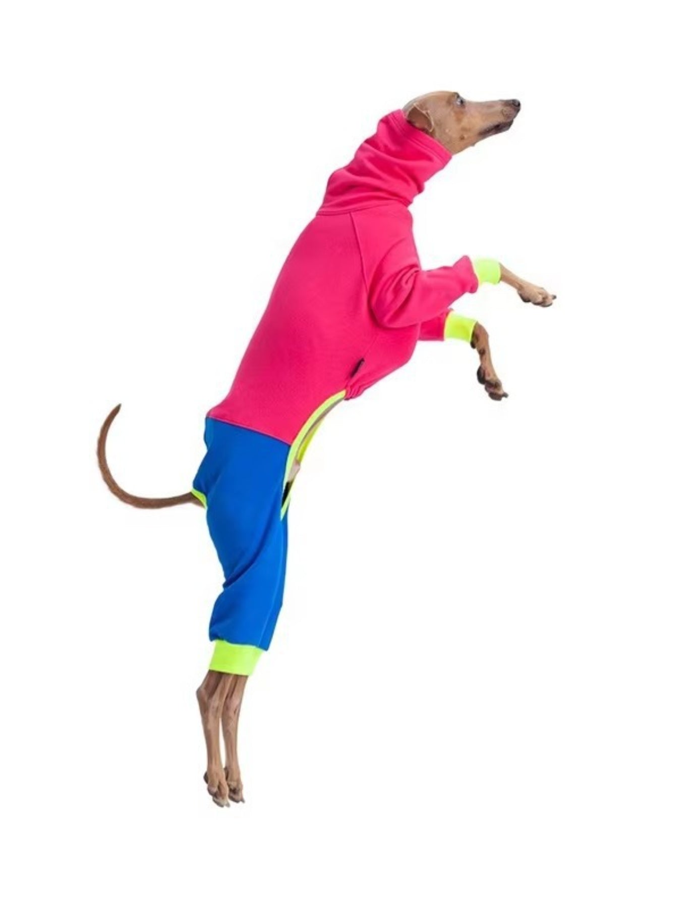 Hot pink outdoor dog jacket for large dogs by All Sorts Co., high-quality, weather-resistant dog clothing for outdoor activities.