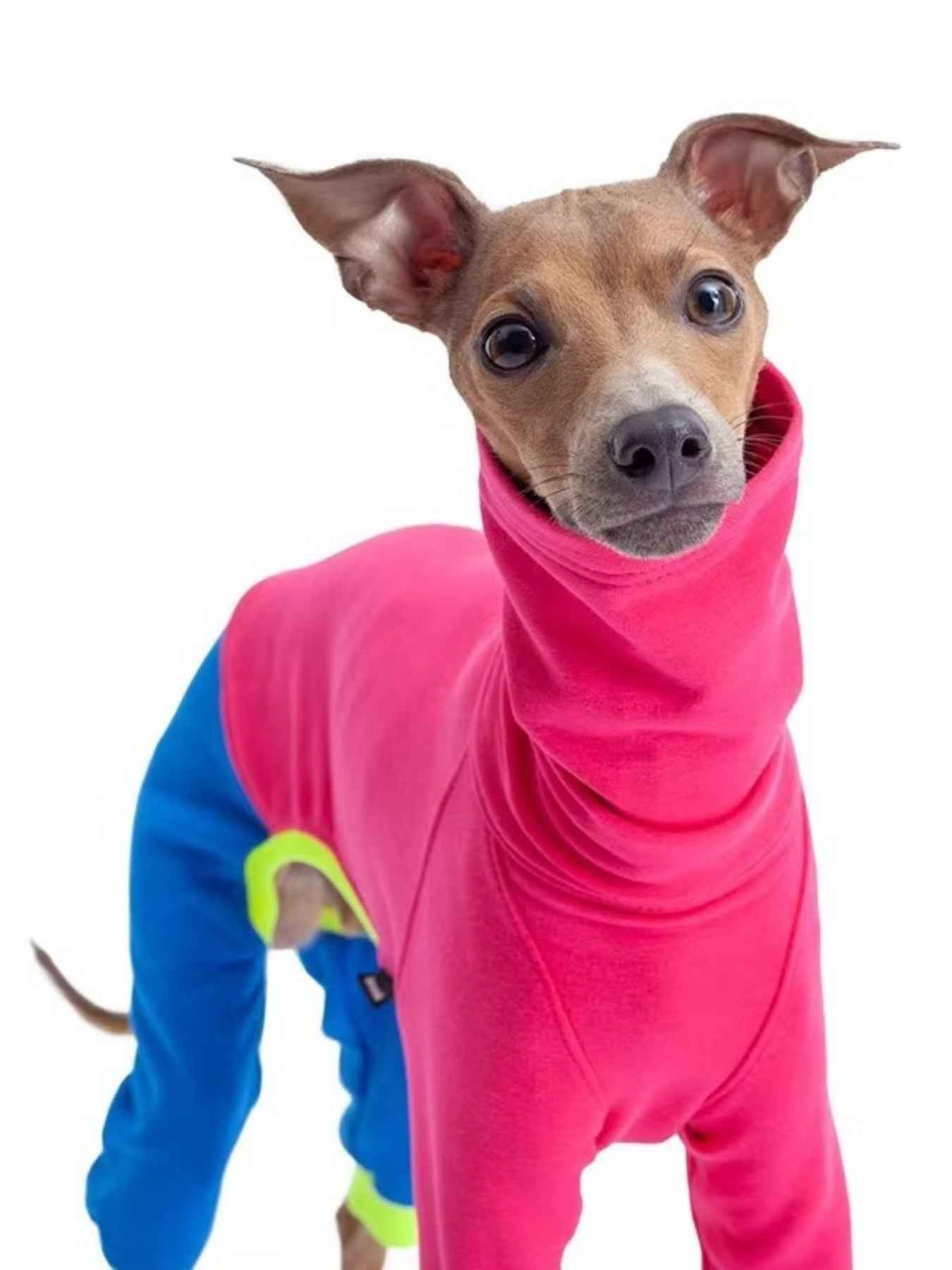 Hot pink outdoor dog jacket for large dogs by All Sorts Co., showcasing a durable, high-quality dog clothing with a snug fit.