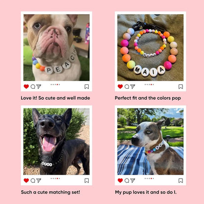 Personalized pet collar and matching bracelet set by PawBond™ in vibrant colors, featuring paw print design and adjustable straps.