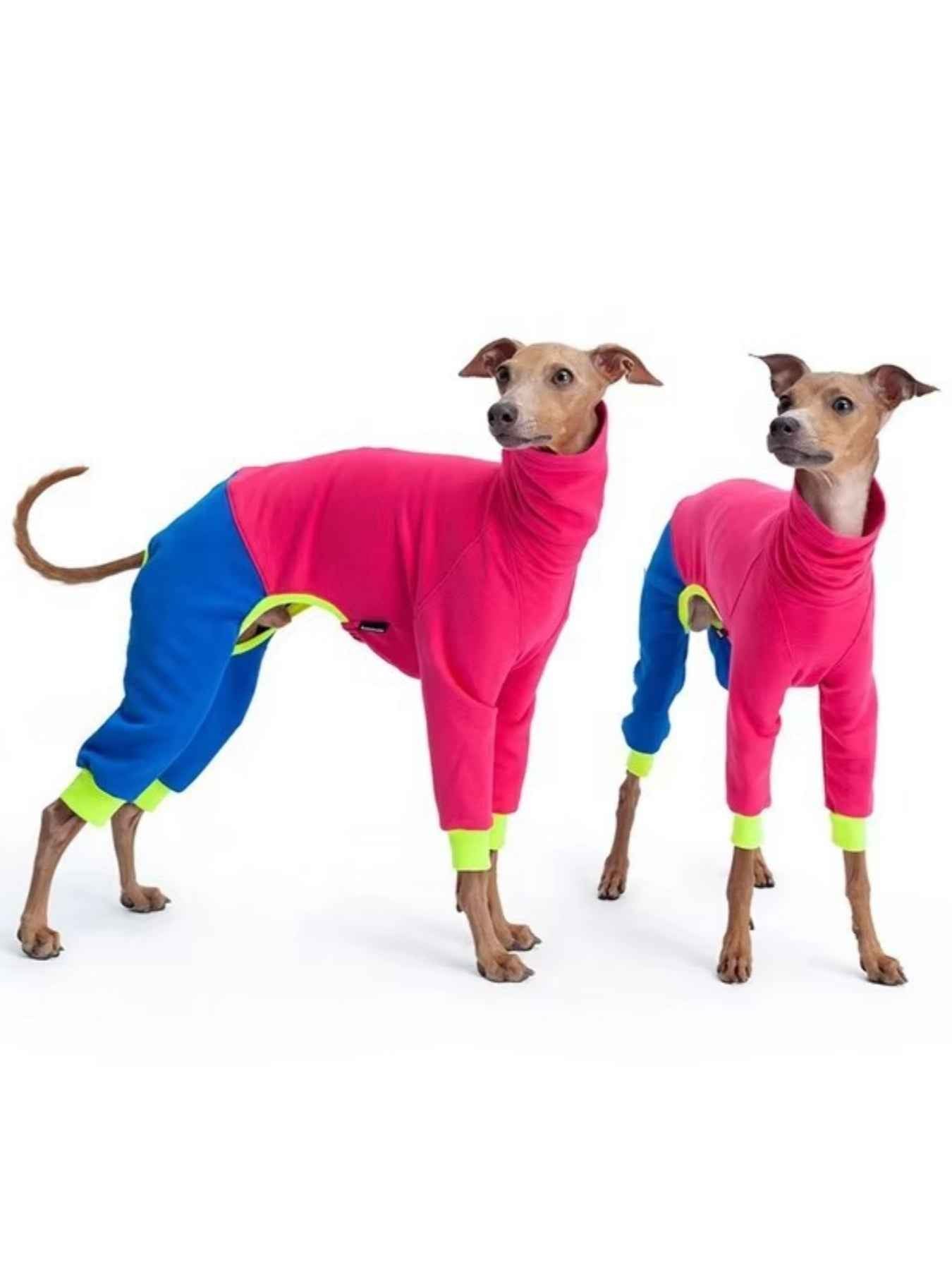 All Sorts Co. outdoor dog jacket for large dogs, waterproof and warm, shown on a large dog outside in a natural setting.
