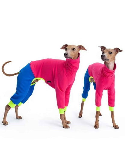All Sorts Co. outdoor dog jacket for large dogs, waterproof and warm, shown on a large dog outside in a natural setting.