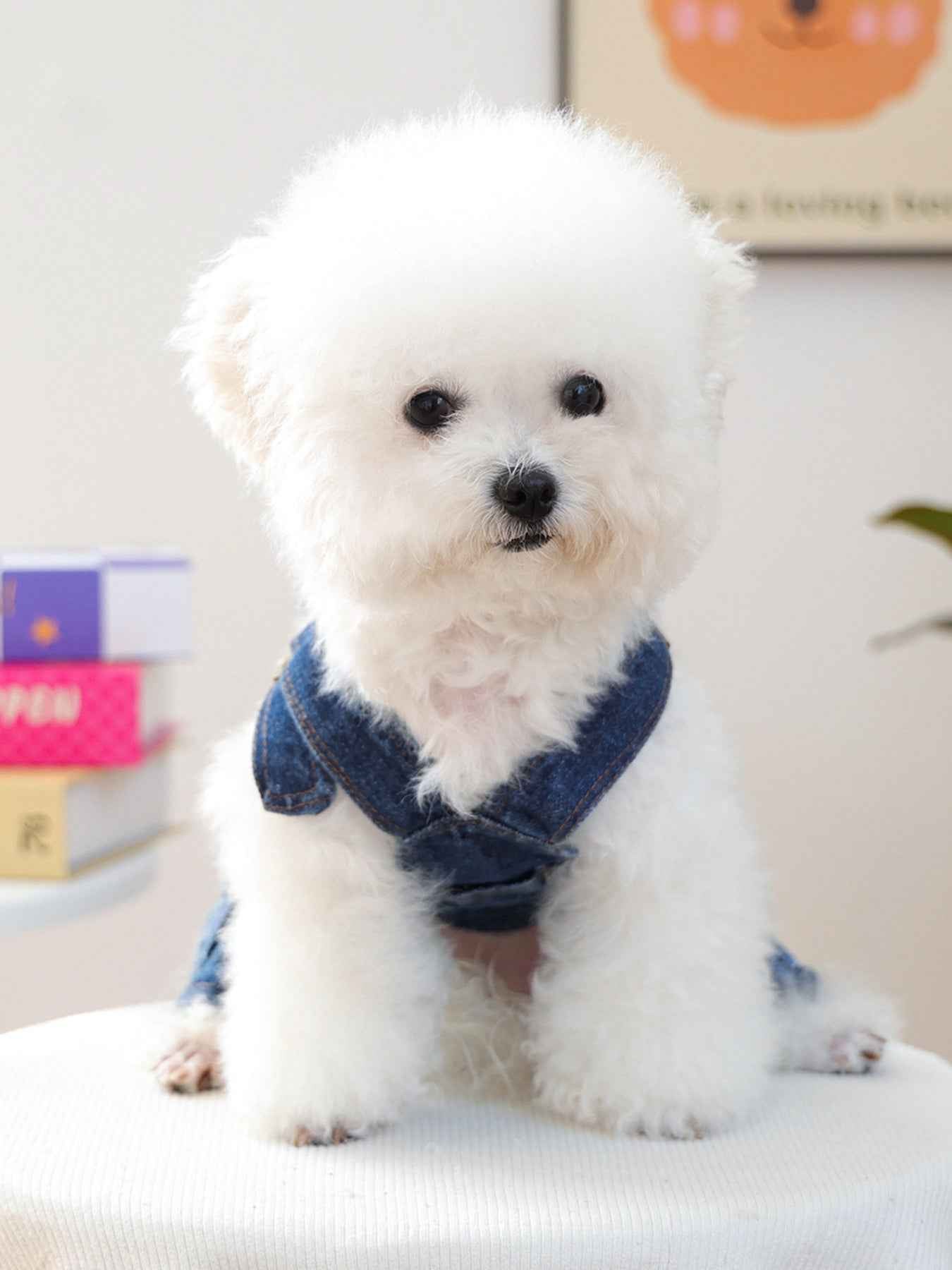 Trendsi stylish denim dog overalls, one size, trendy pet clothing with a fashionable fit and casual denim design.