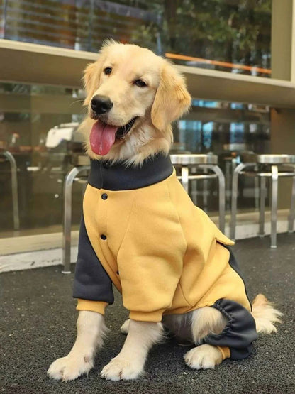 Two-tone gold dog jacket in size 3XL, trendy dog clothing by Trendsi, showing the stylish design and cozy fit.