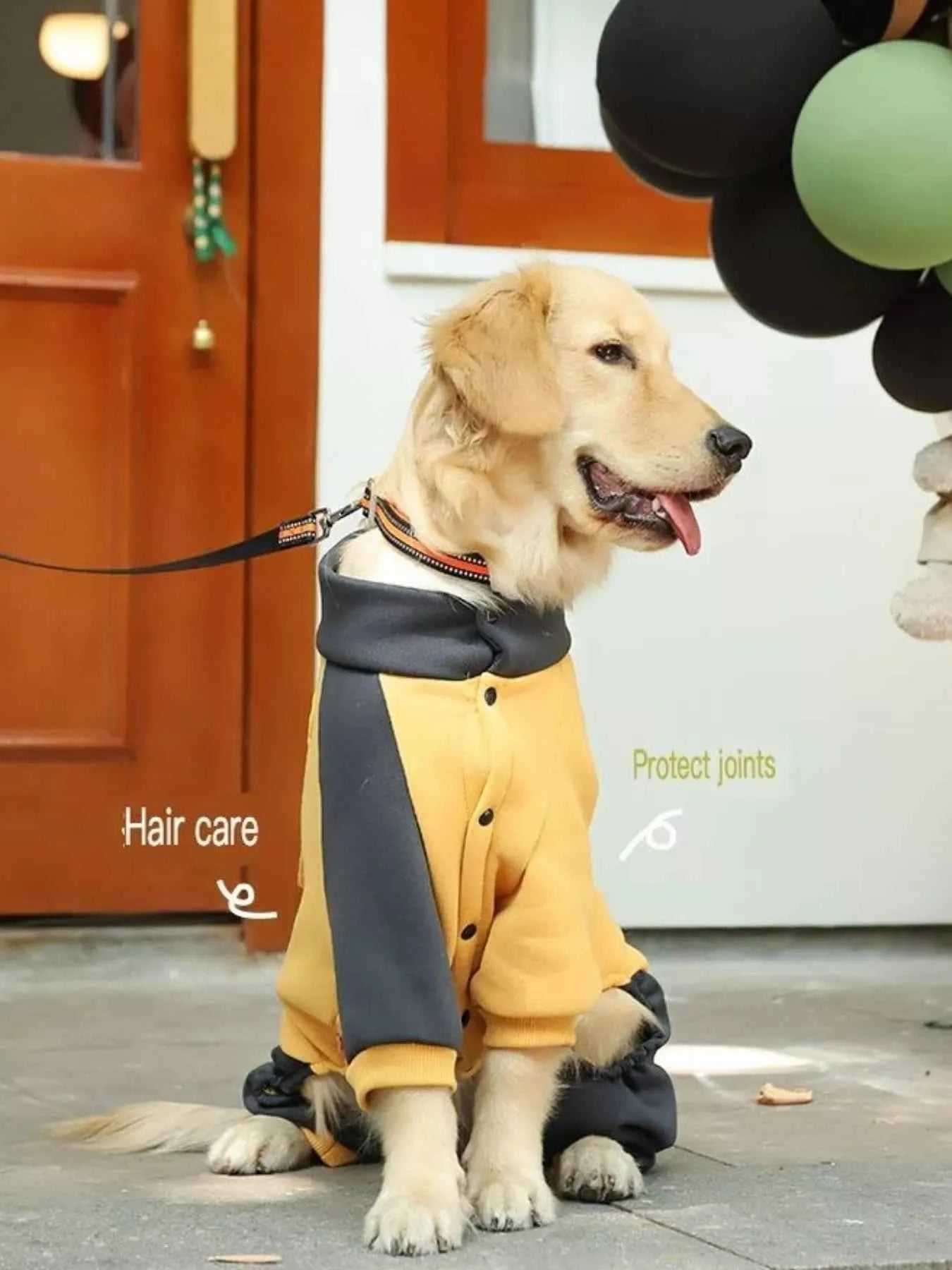 Two-tone gold dog jacket from Trendsi, 3XL size, stylish dog clothing with warm, comfortable design for pets.
