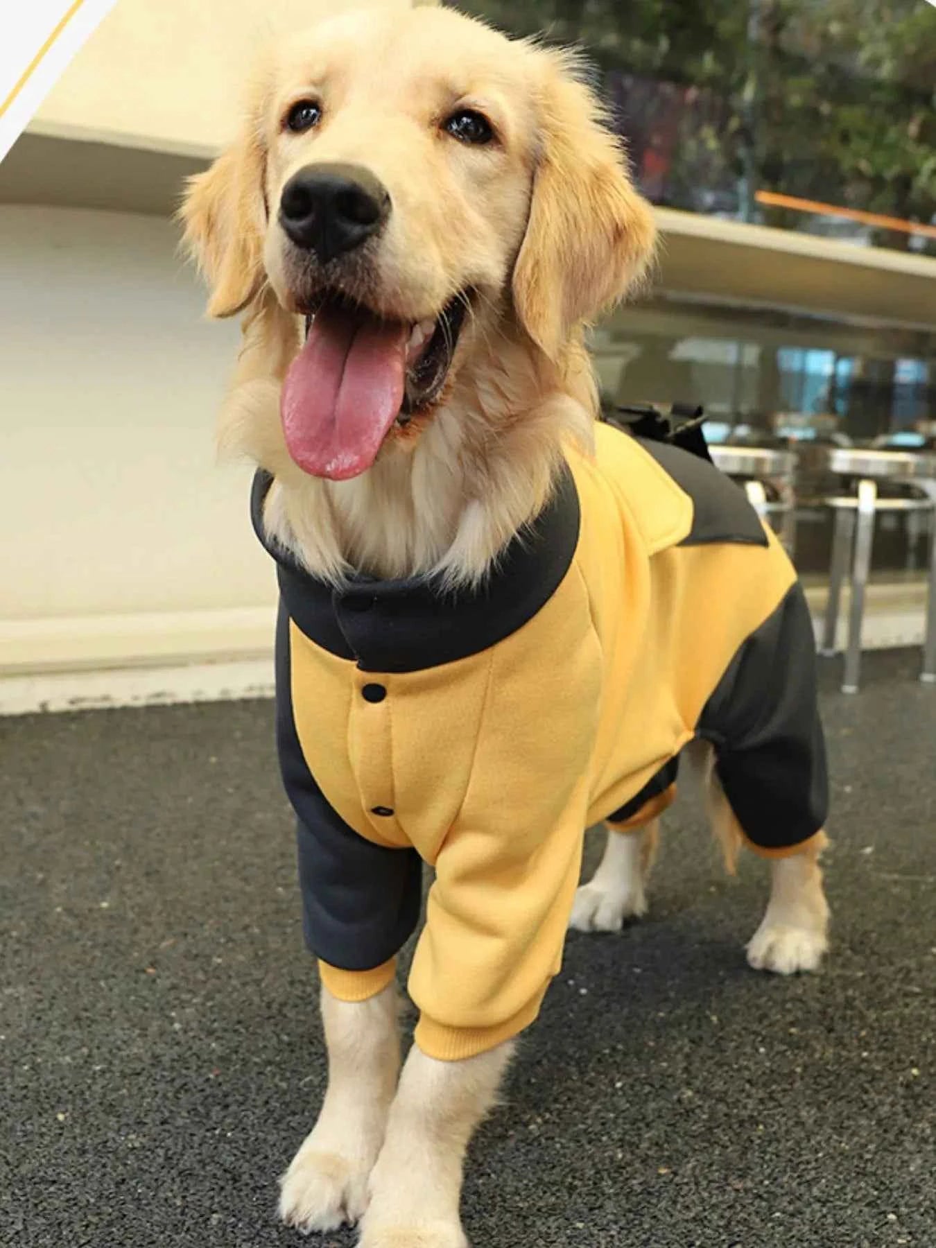 Two-tone gold dog jacket from Trendsi, a stylish dog clothing item in size 3XL with a warm, fashionable design.