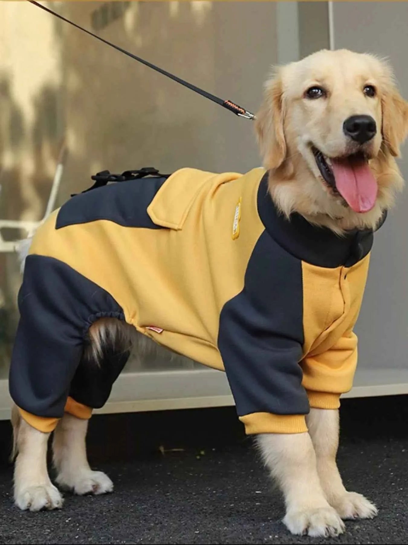 Two-tone gold dog jacket from Trendsi, 3XL size, stylish dog clothing with a warm, two-tone design and adjustable fit.
