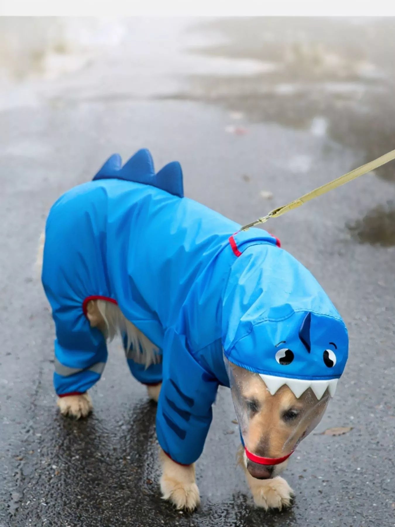 Dinosaur Style Waterproof Dog Raincoat with Hood - Redemption By Ashley North