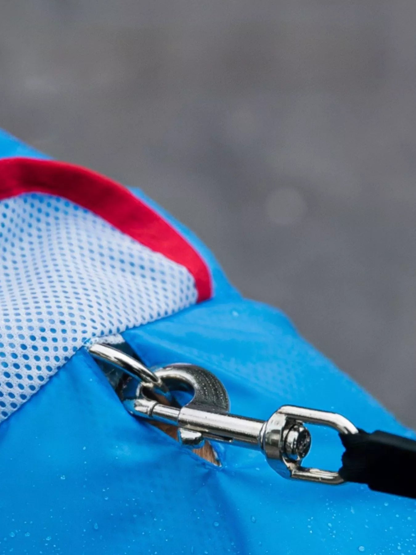 Dinosaur Style Waterproof Dog Raincoat with Hood - Redemption By Ashley North