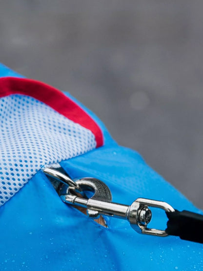 Dinosaur Style Waterproof Dog Raincoat with Hood - Redemption By Ashley North