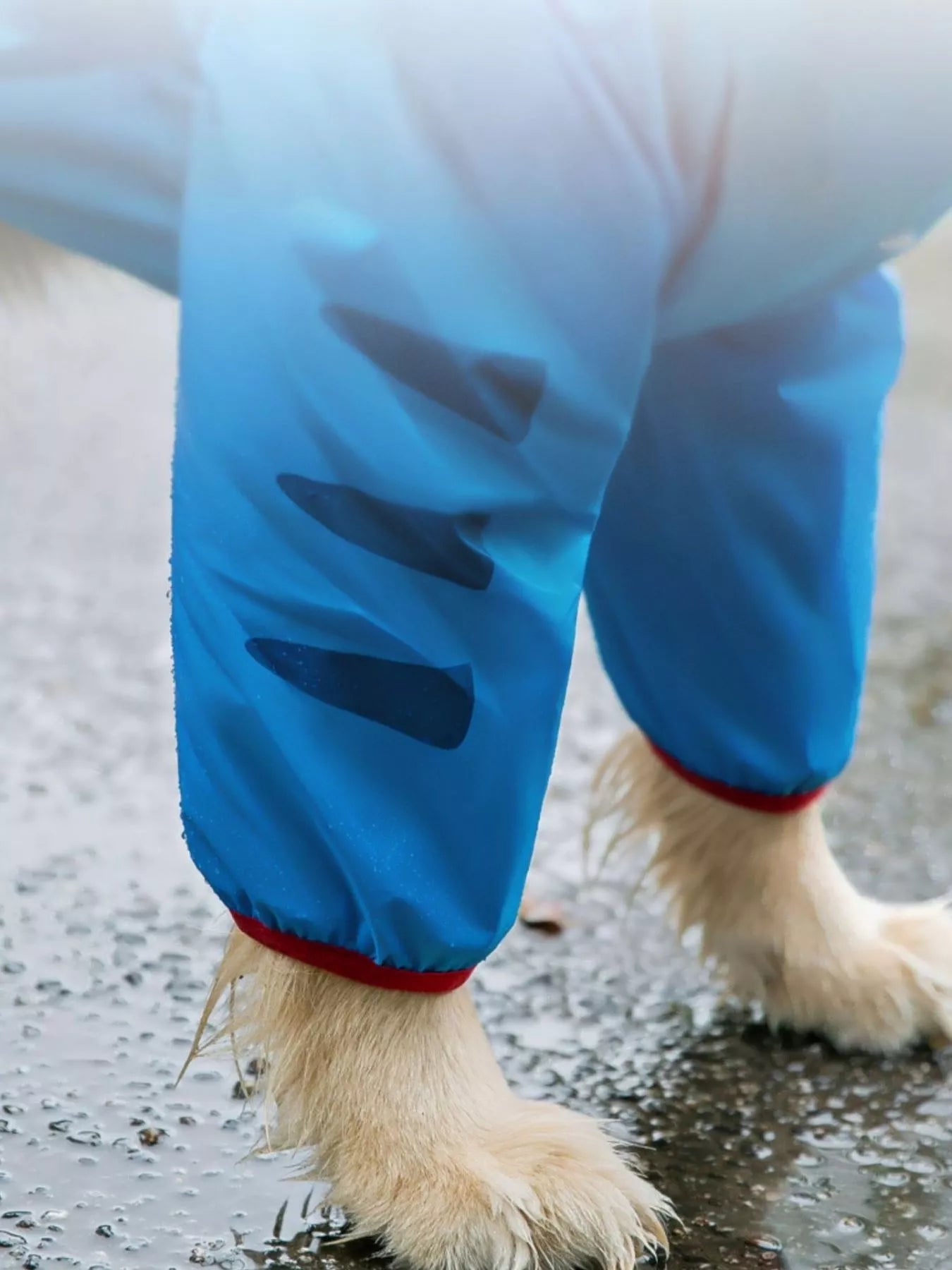 Dinosaur Style Waterproof Dog Raincoat with Hood - Redemption By Ashley North