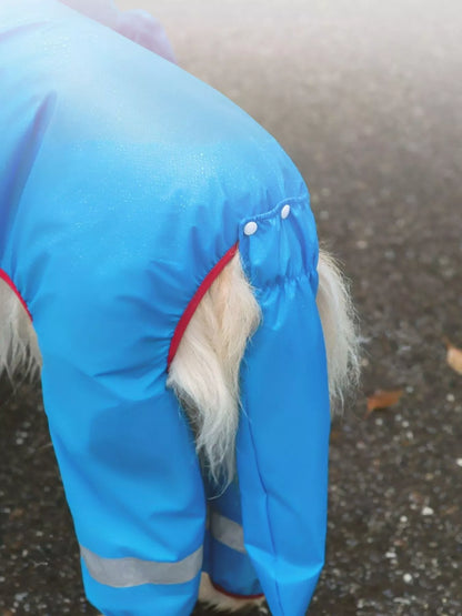 Dinosaur Style Waterproof Dog Raincoat with Hood - Redemption By Ashley North