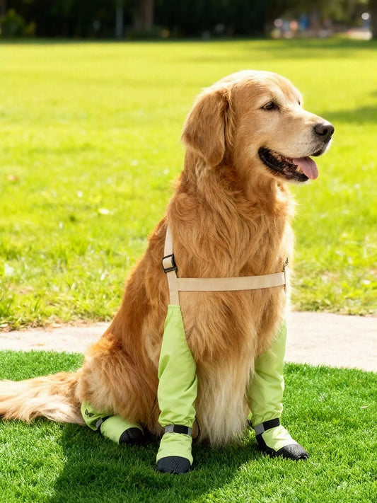 Dog protective legging pet shoes from Trendsi, stylish dog clothing with reinforced leg coverage and comfortable fit.