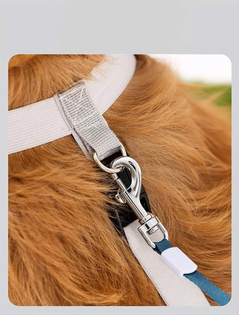 Dog wearing Trendsi protective legging pet shoes, durable dog clothing designed to protect paws and legs during walks.