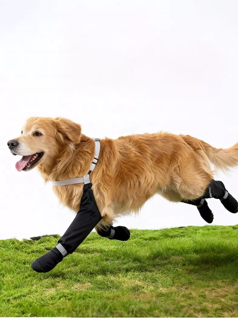 Dog protective legging pet shoes from Trendsi, showing snug fit and durable material for pet leg protection.
