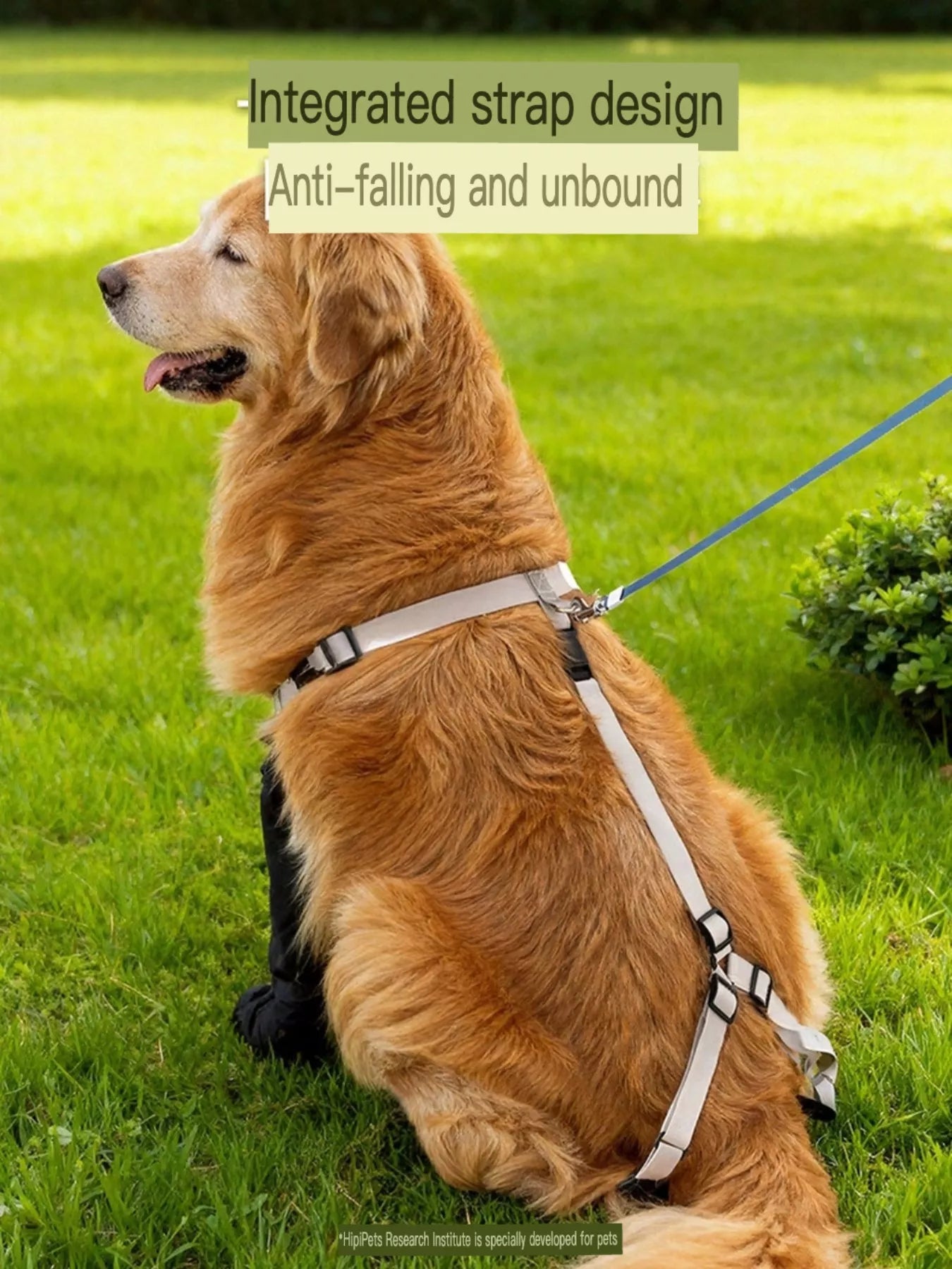 Dog protective legging pet shoes from Trendsi, durable dog clothing with reinforced protective leg coverings.