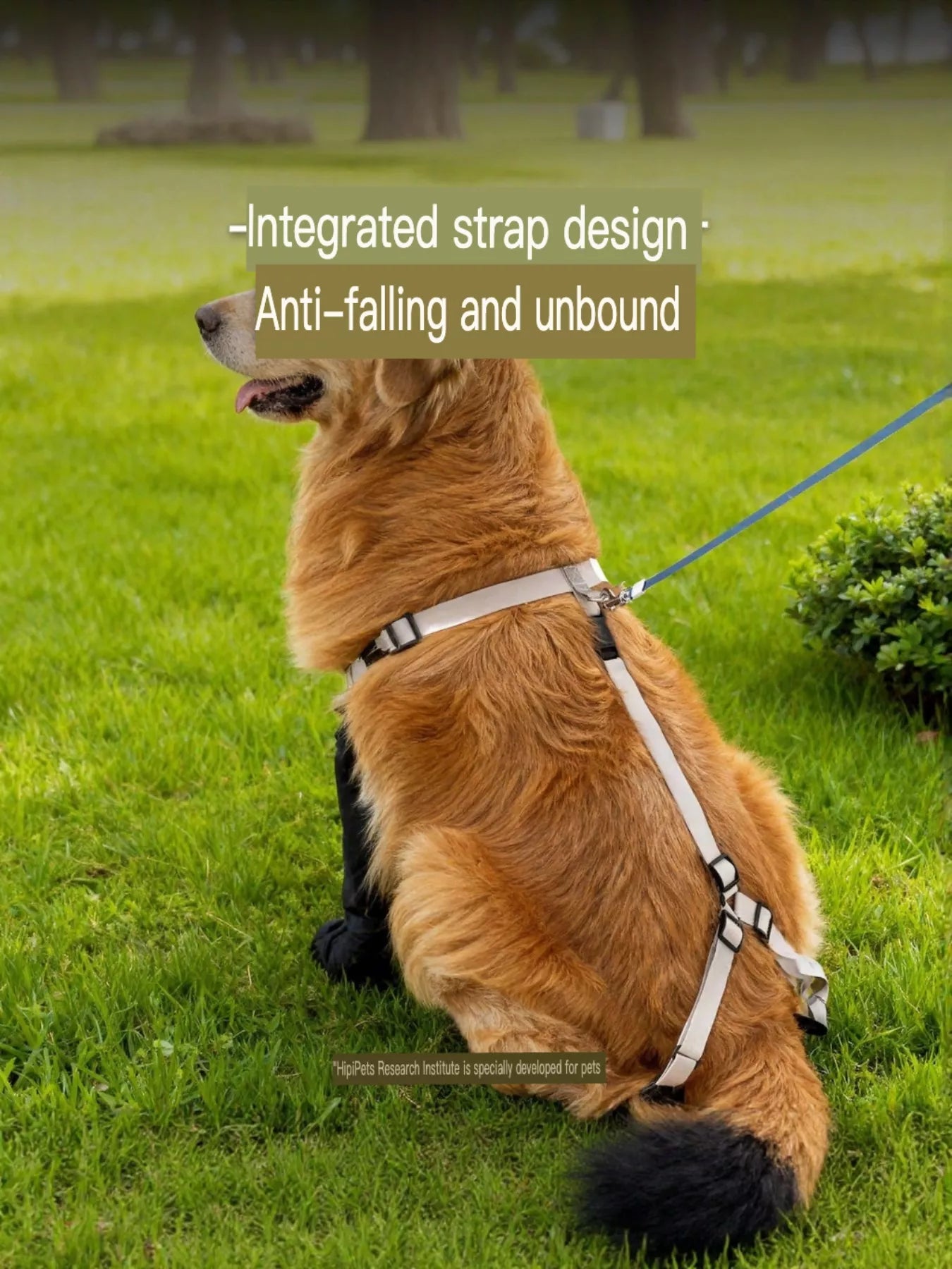 Dog protective leggings pet shoes by Trendsi, showcasing durable dog clothing with snug, protective leg coverings for pets.