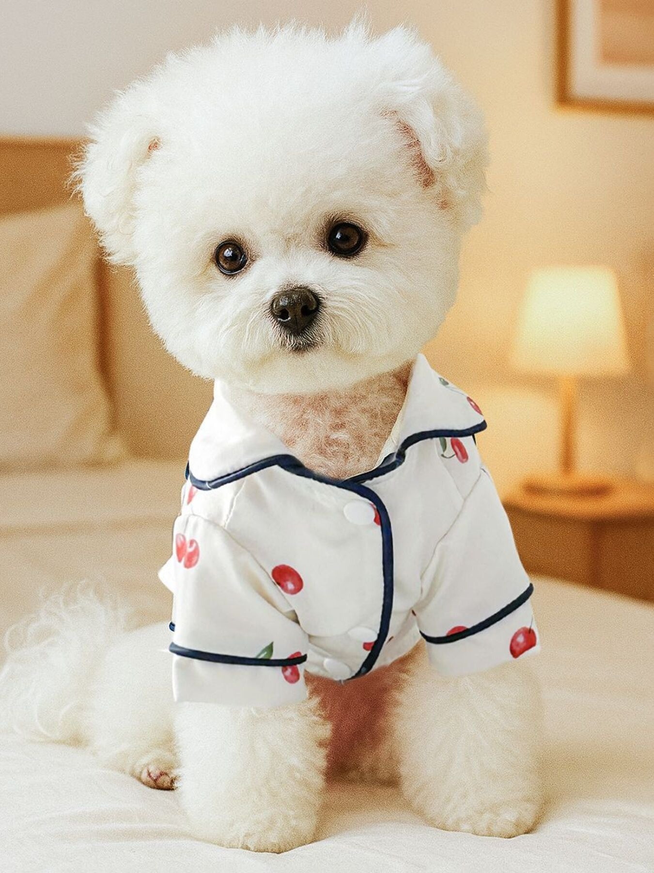 Dusty pink satin pet pajamas with contrast piping, featuring comfortable fit and stylish design for pets.