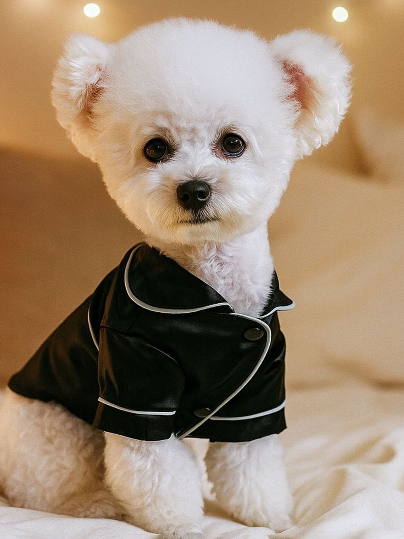 Dusty pink satin pet pajamas with contrast piping, featuring comfortable design for pets, by Trendsi.