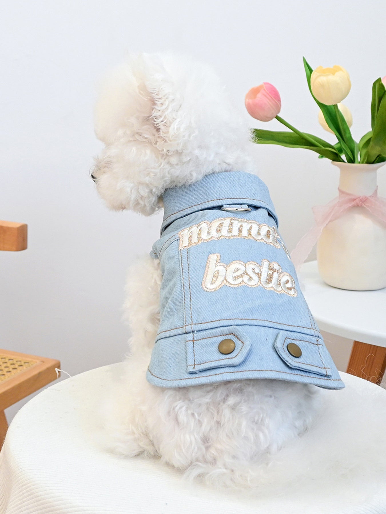 Small embroidered denim pet jacket by Trendsi featuring colorful floral embroidery and a classic denim design.
